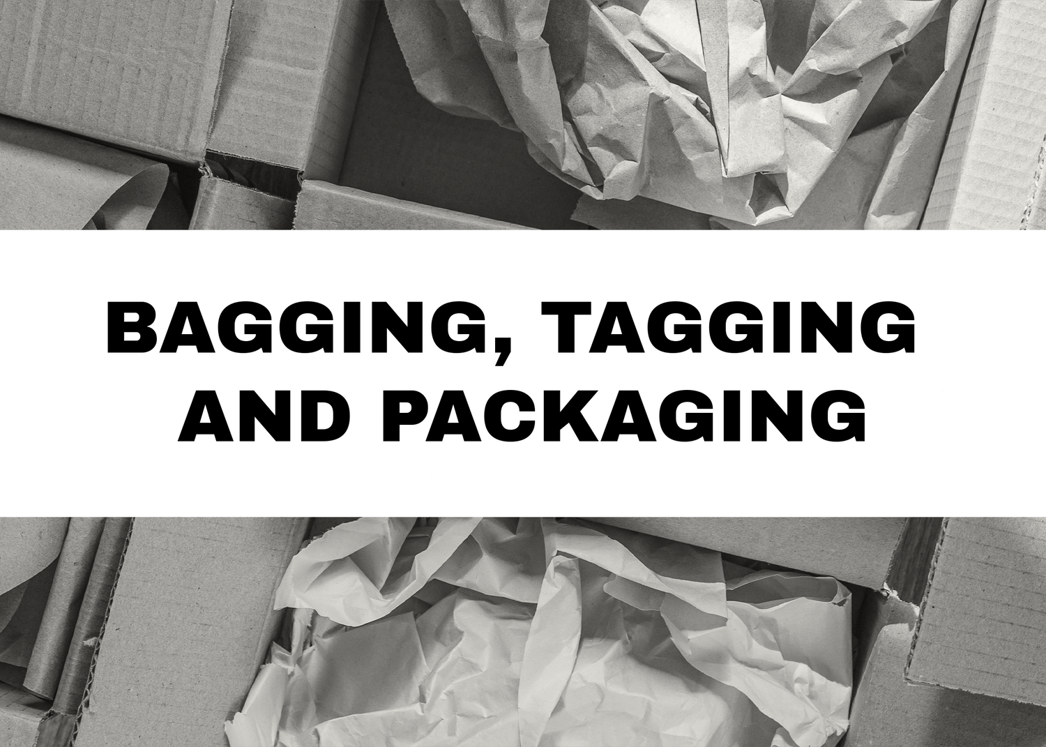 Pack It with Pride: Why Bagging, Tagging, and Branded Packaging Matter